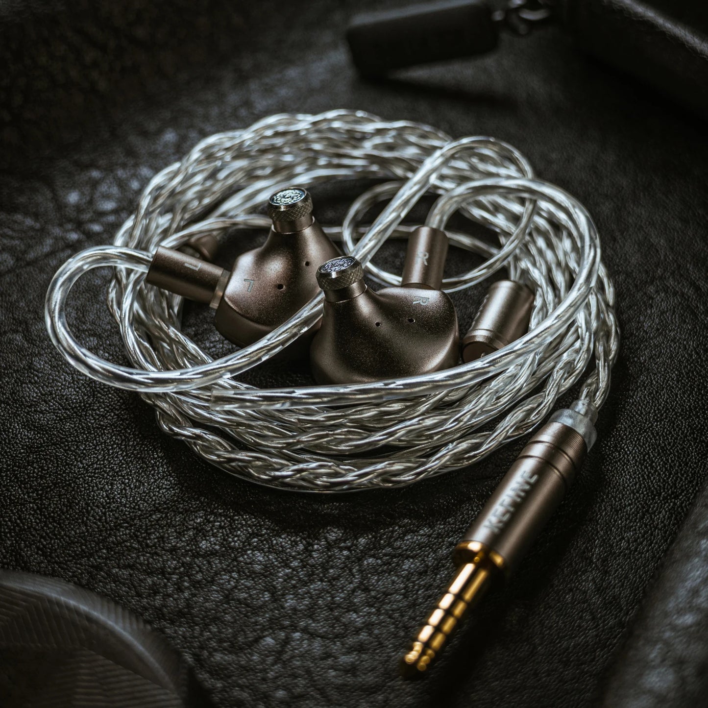 Hi-Fi In-Ear Earphones with Dual Tuning Styles