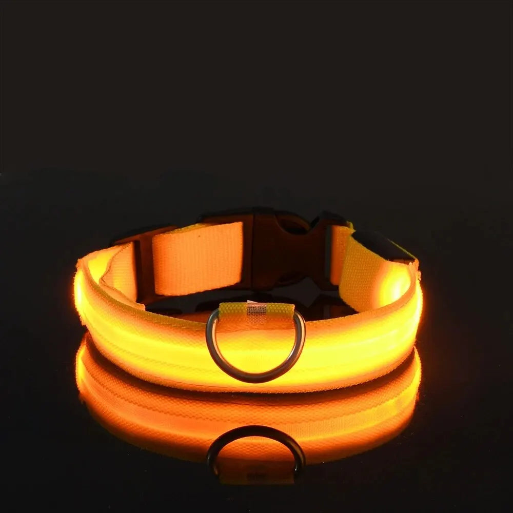 Nylon LED Dog Leash & Collar
