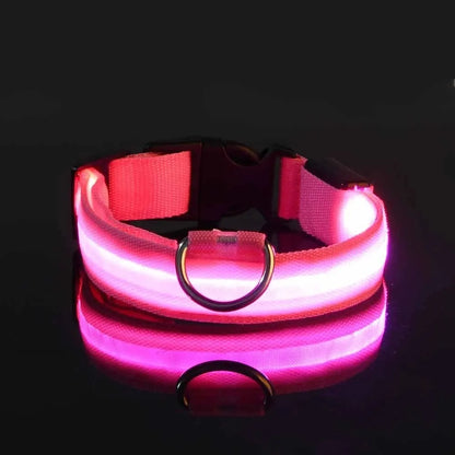 Nylon LED Dog Leash & Collar