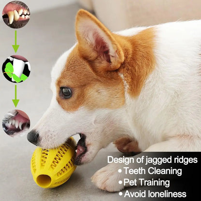 Natural Rubber Teeth Cleaning & Interactive Bouncy Dog Toy