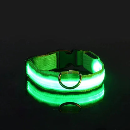 Nylon LED Dog Leash & Collar