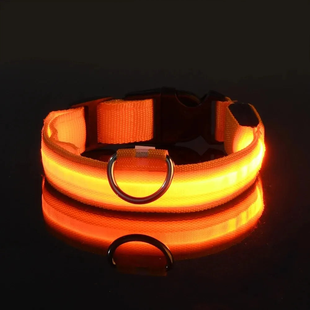Nylon LED Dog Leash & Collar