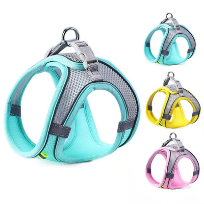 Reflective Adjustable Pet Harness & Leash Set