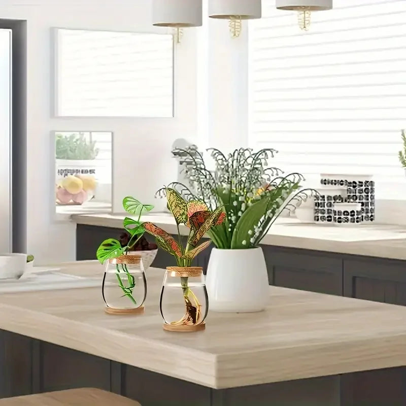 Modern Glass Vase with Wood Lid Base