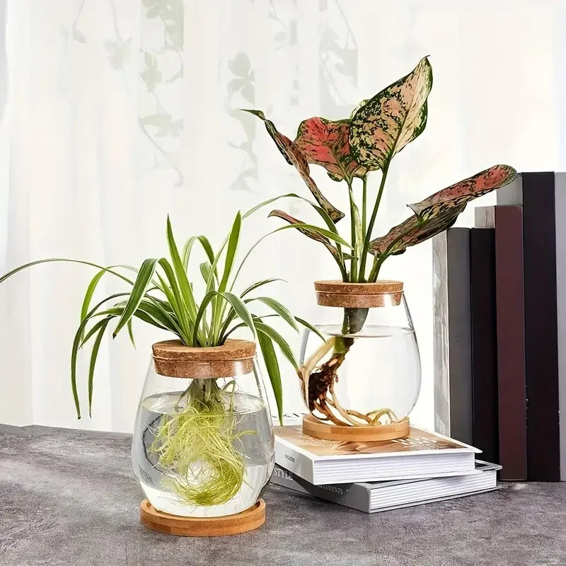 Modern Glass Vase with Wood Lid Base