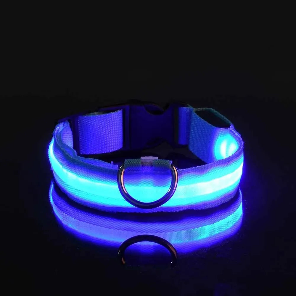 Nylon LED Dog Leash & Collar