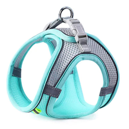 Reflective Adjustable Pet Harness & Leash Set
