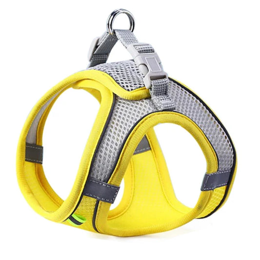 Reflective Adjustable Pet Harness & Leash Set