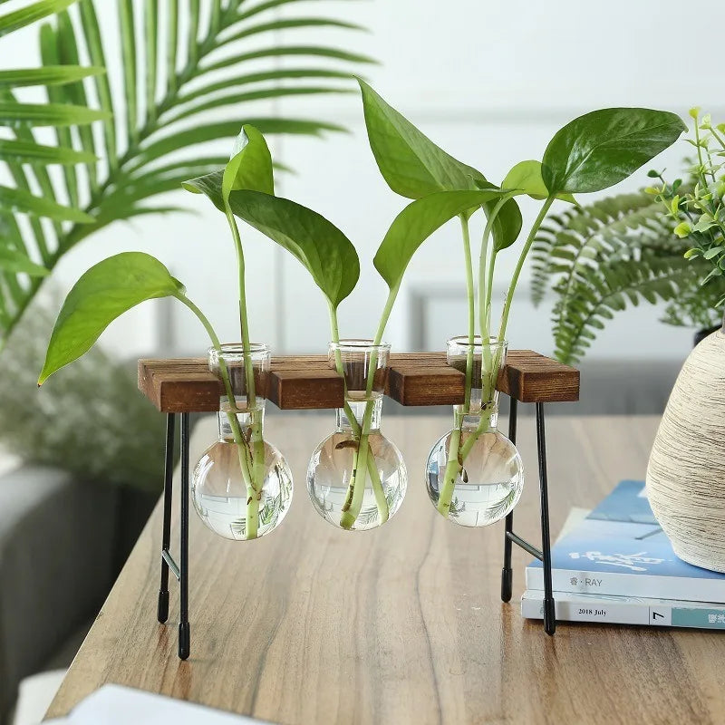 Wooden Frame Hydroponic Planter with Glass Bulb