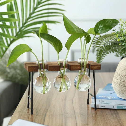 Wooden Frame Hydroponic Planter with Glass Bulb