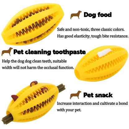 Natural Rubber Teeth Cleaning & Interactive Bouncy Dog Toy
