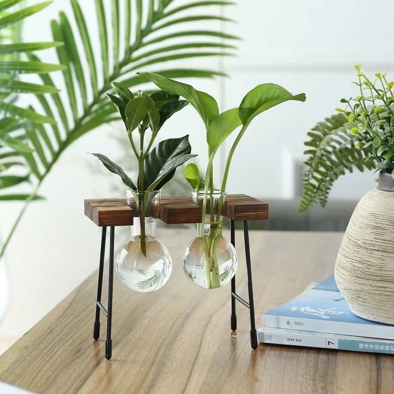 Wooden Frame Hydroponic Planter with Glass Bulb