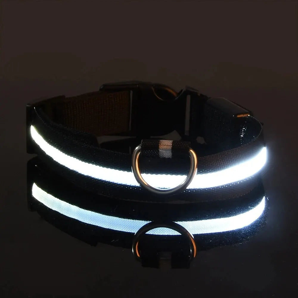 Nylon LED Dog Leash & Collar
