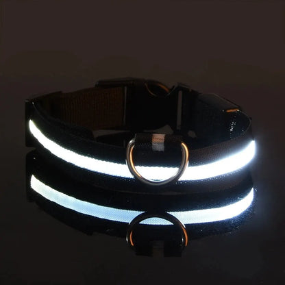 Nylon LED Dog Leash & Collar