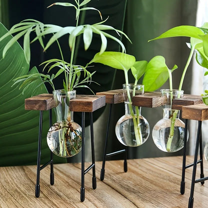 Wooden Frame Hydroponic Planter with Glass Bulb