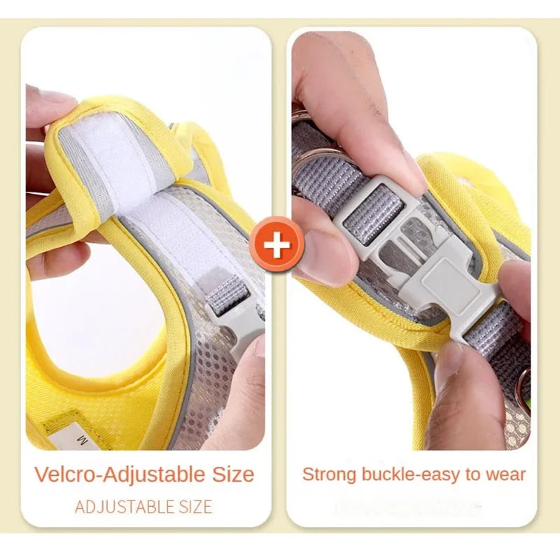 Reflective Adjustable Pet Harness & Leash Set