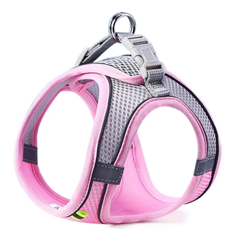 Reflective Adjustable Pet Harness & Leash Set