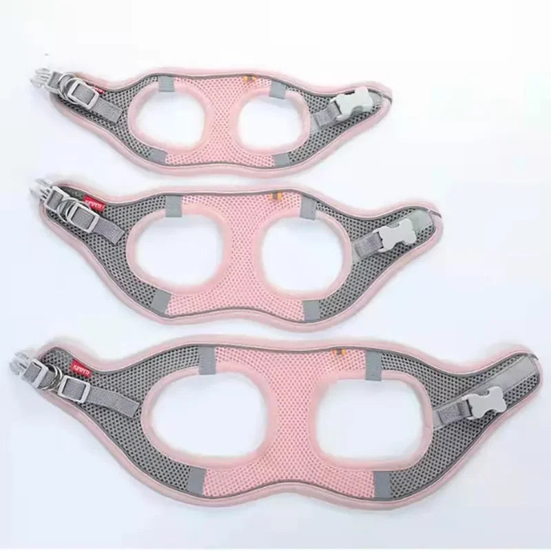 Reflective Adjustable Pet Harness & Leash Set