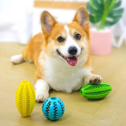 Natural Rubber Teeth Cleaning & Interactive Bouncy Dog Toy