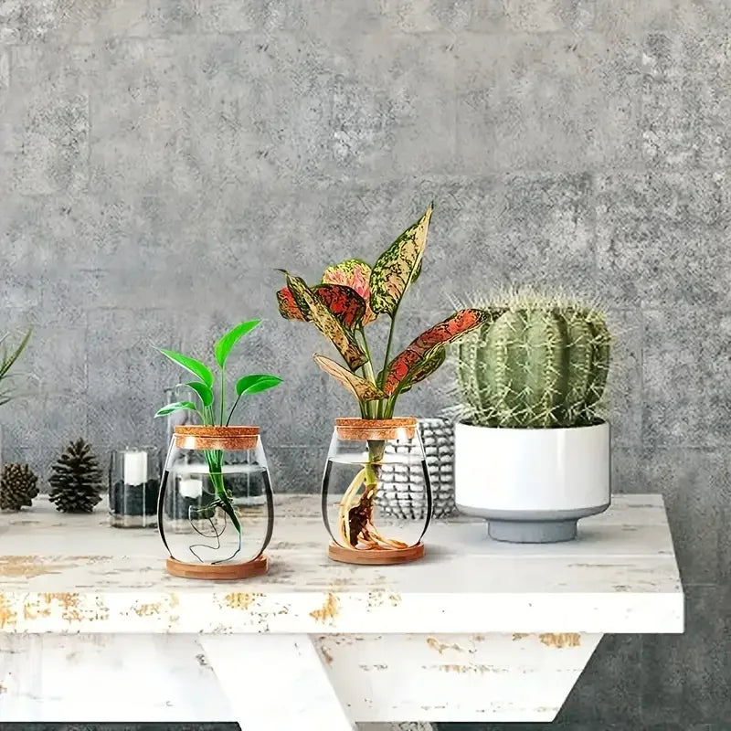 Modern Glass Vase with Wood Lid Base