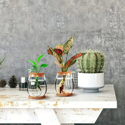 Modern Glass Vase with Wood Lid Base