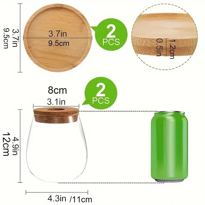 Modern Glass Vase with Wood Lid Base