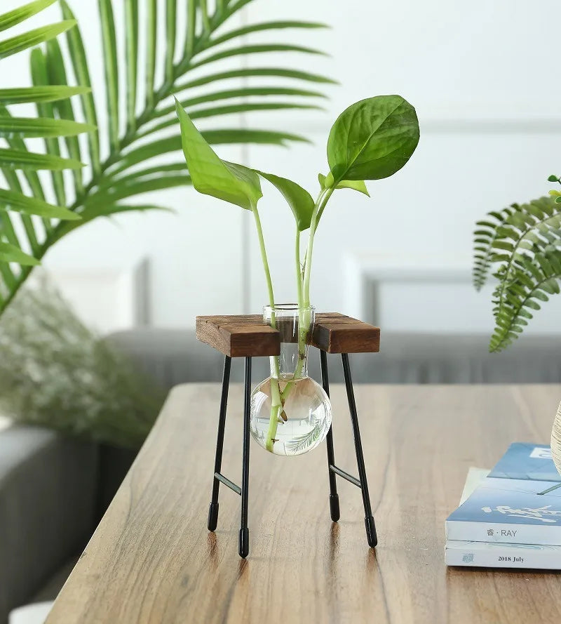 Wooden Frame Hydroponic Planter with Glass Bulb