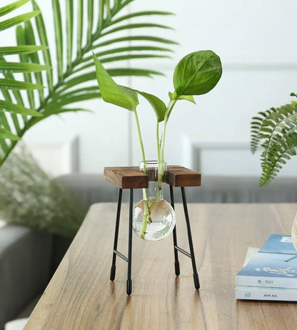 Wooden Frame Hydroponic Planter with Glass Bulb