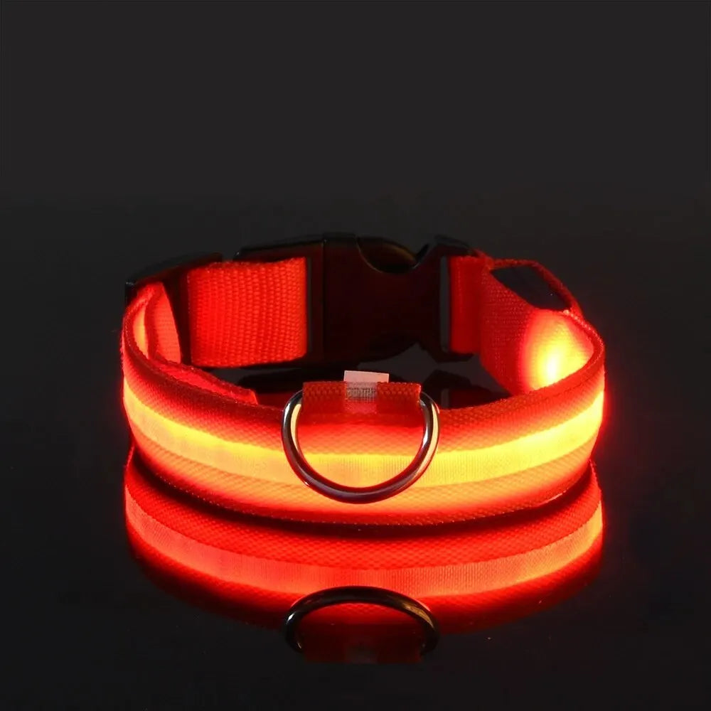 Nylon LED Dog Leash & Collar