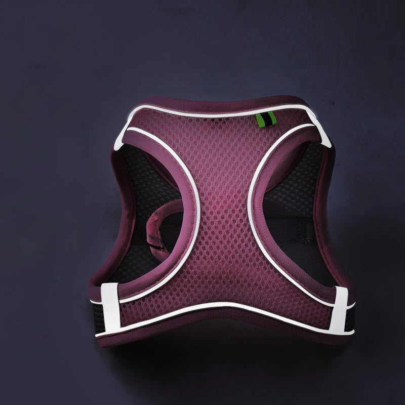 Reflective Adjustable Pet Harness & Leash Set