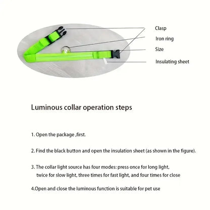 Nylon LED Dog Leash & Collar
