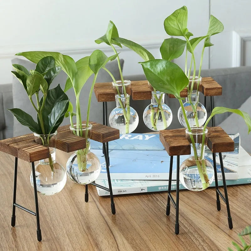 Wooden Frame Hydroponic Planter with Glass Bulb