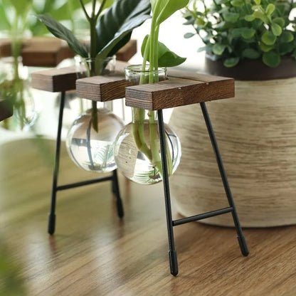Wooden Frame Hydroponic Planter with Glass Bulb