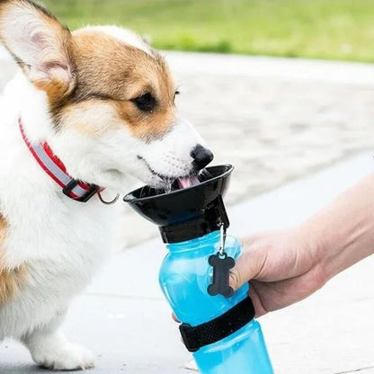 500ml Portable Pet Water Bottle