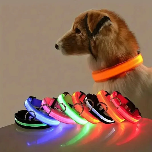 Nylon LED Dog Leash & Collar