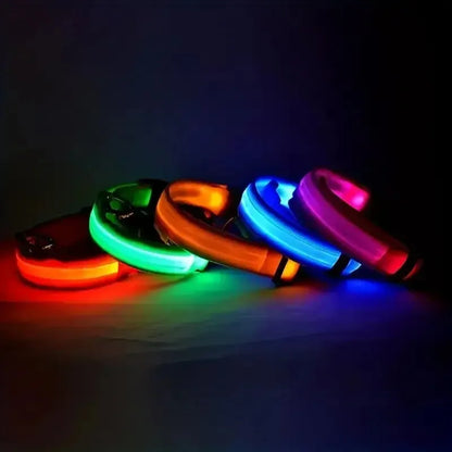 Nylon LED Dog Leash & Collar