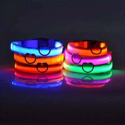 Nylon LED Dog Leash & Collar