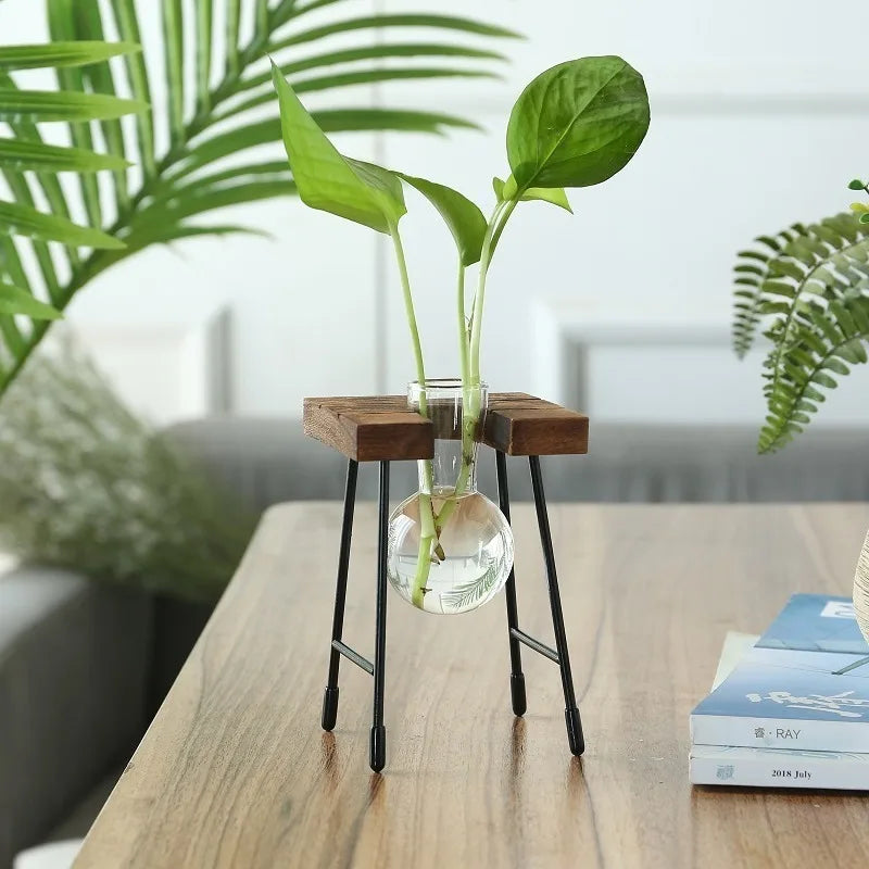 Wooden Frame Hydroponic Planter with Glass Bulb