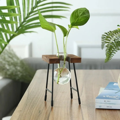 Wooden Frame Hydroponic Planter with Glass Bulb