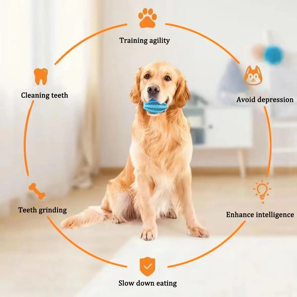 Natural Rubber Teeth Cleaning & Interactive Bouncy Dog Toy